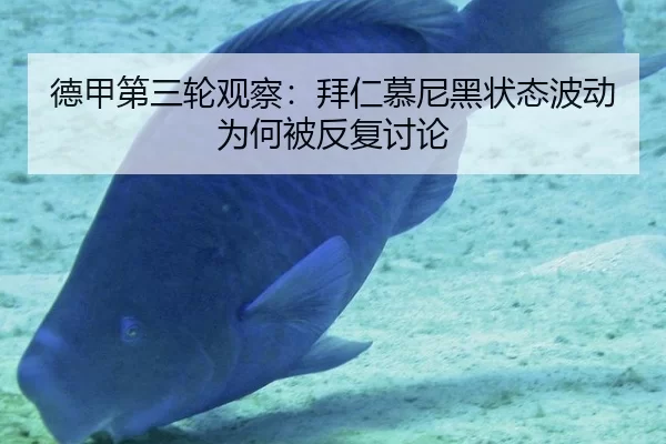 德甲第三轮观察：拜仁慕尼黑状态波动为何被反复讨论